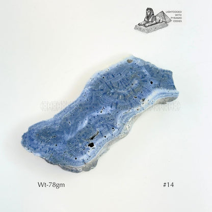 Fame Through Talk Blue Coral 