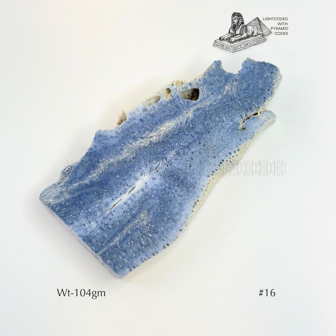 Fame Through Talk Blue Coral 