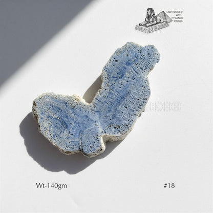 Fame Through Talk Blue Coral 
