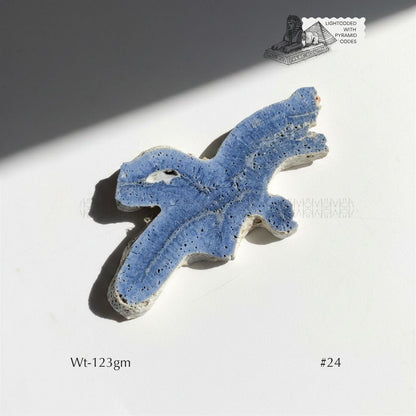 Fame Through Talk Blue Coral 