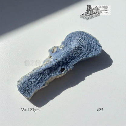 Fame Through Talk Blue Coral 