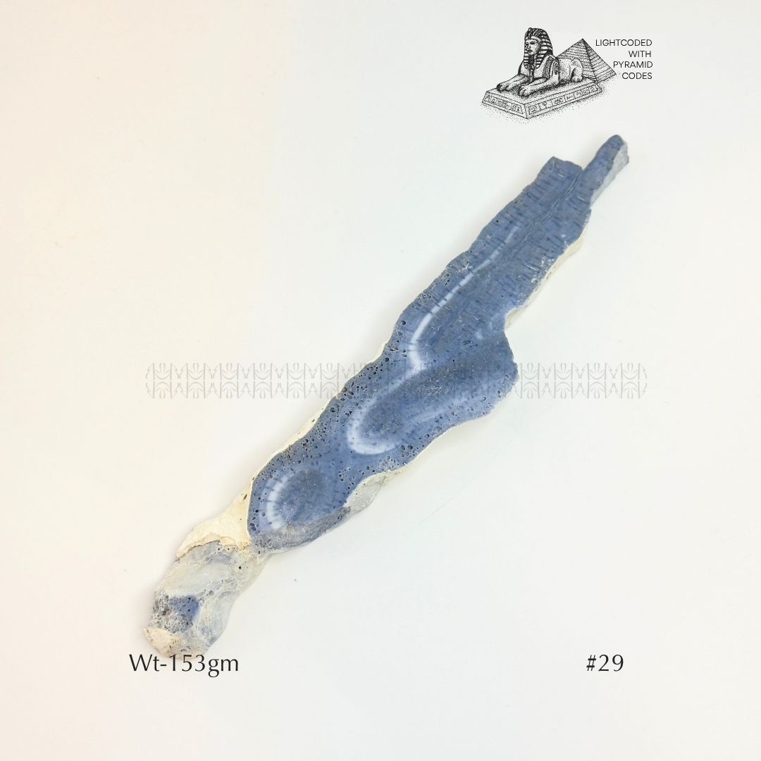 Fame Through Talk Blue Coral 