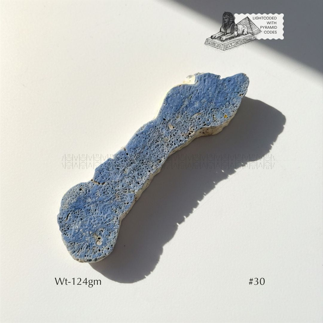 Fame Through Talk Blue Coral 
