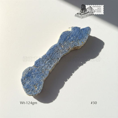 Fame Through Talk Blue Coral 