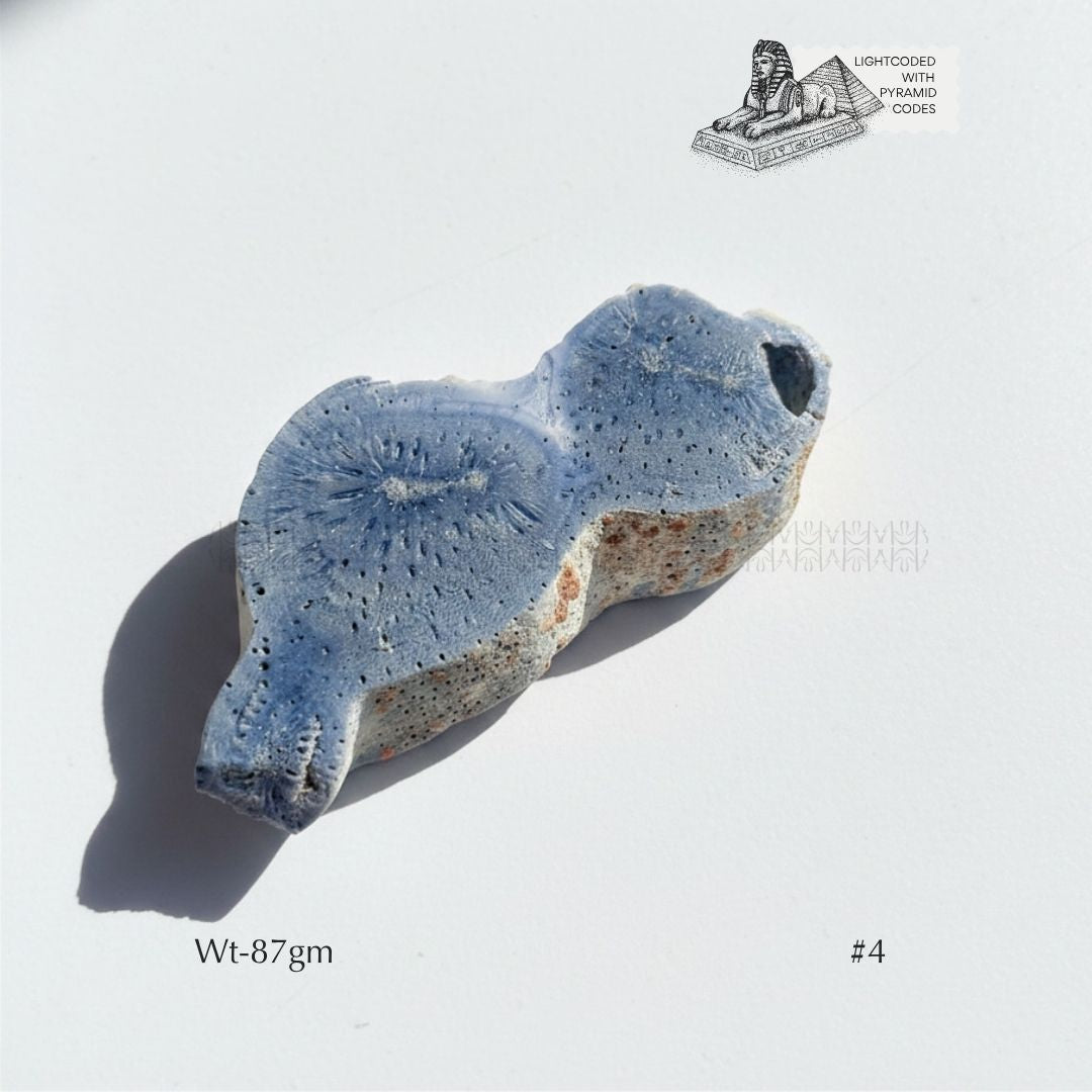 Fame Through Talk Blue Coral 