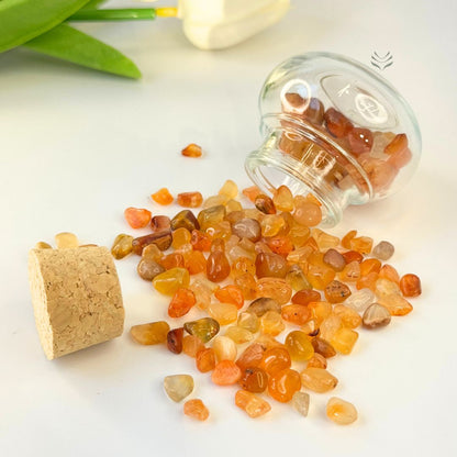 Good Things Only Jar