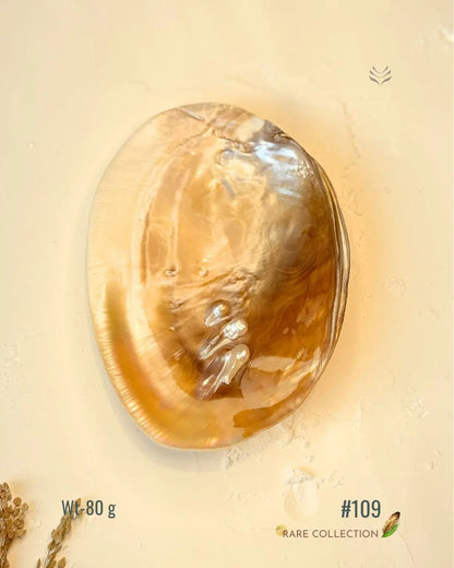 Invite Luxury Shells 