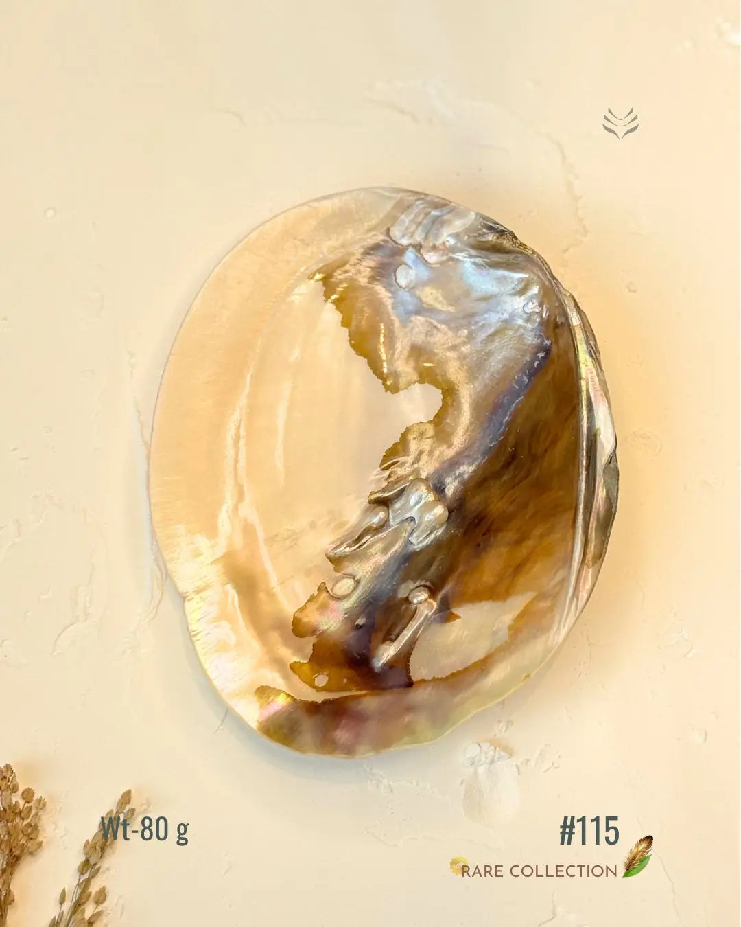 Invite Luxury Shells 