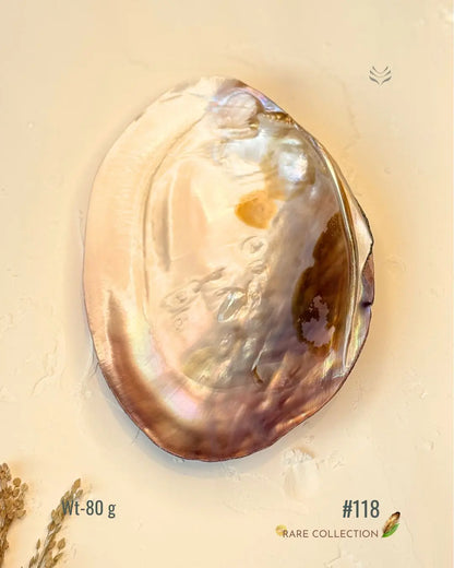 Invite Luxury Shells 