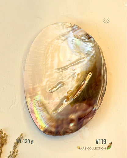 Invite Luxury Shells 