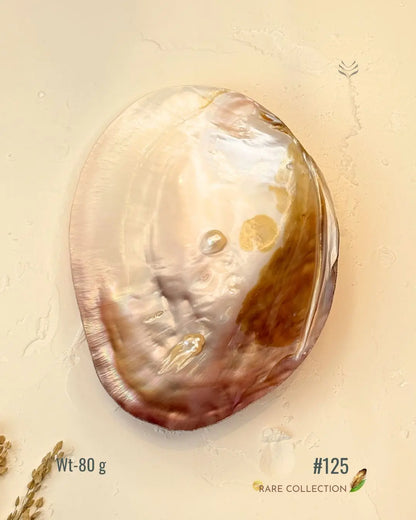 Invite Luxury Shells 