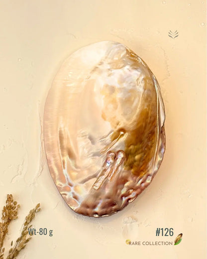 Invite Luxury Shells 