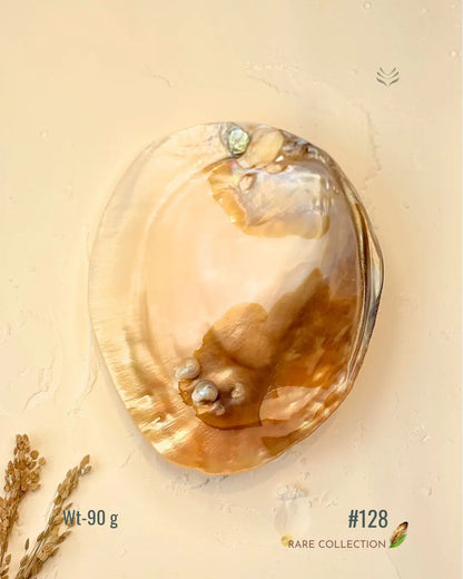 Invite Luxury Shells 