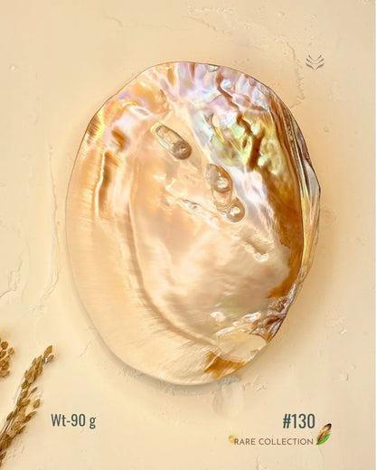 Invite Luxury Shells 