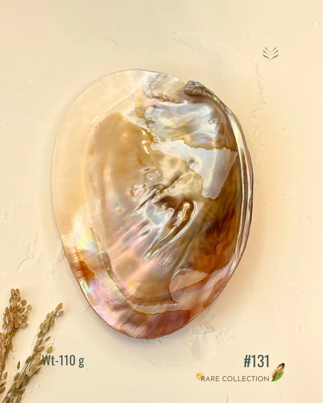 Invite Luxury Shells 