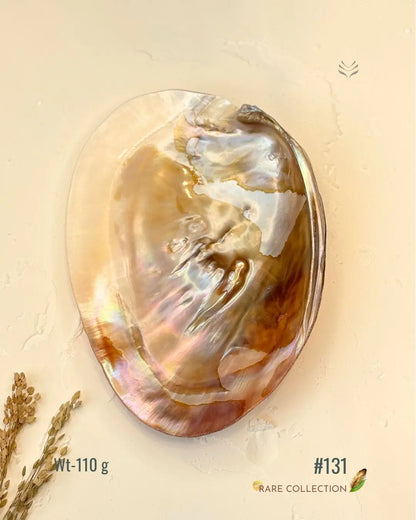 Invite Luxury Shells 