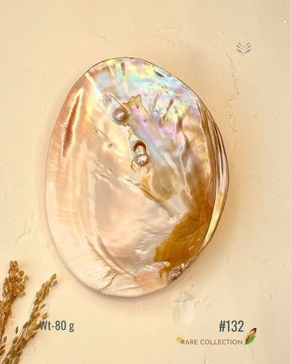 Invite Luxury Shells 