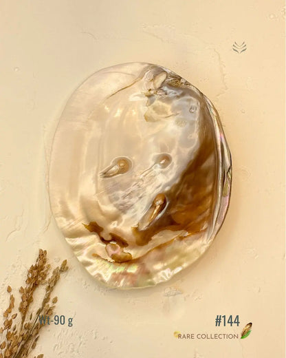 Invite Luxury Shells 