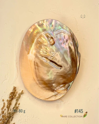 Invite Luxury Shells 