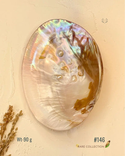 Invite Luxury Shells 