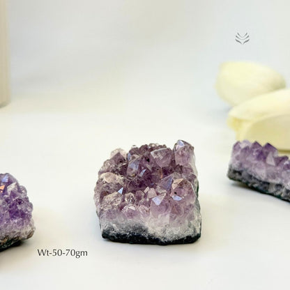 Calm In Your Palm Amethyst Cluster