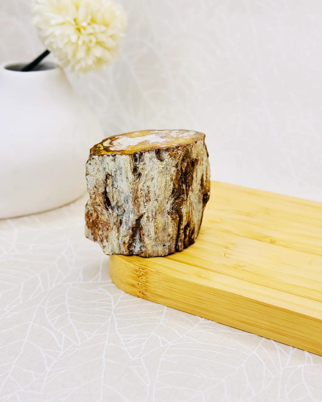 Light-Coded Big Petrified Wood-Unique Fossil l - 322gm (#13) 