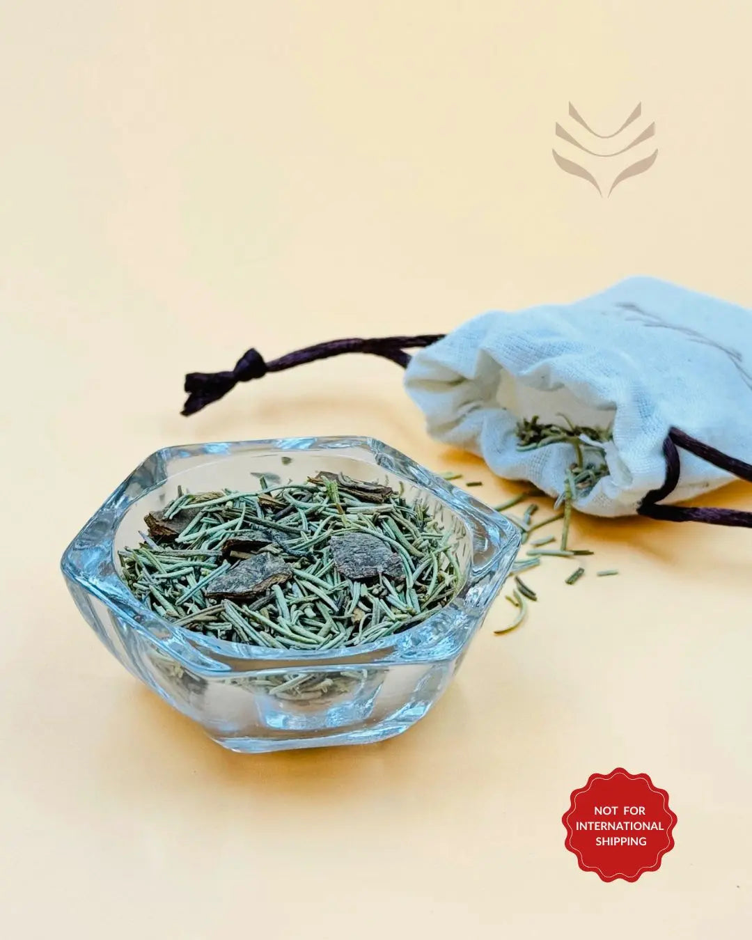 Light-Coded Divine Alam 