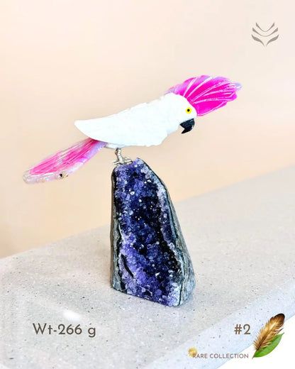 Light-Coded Financial Freedom-Birds Of Paradise 