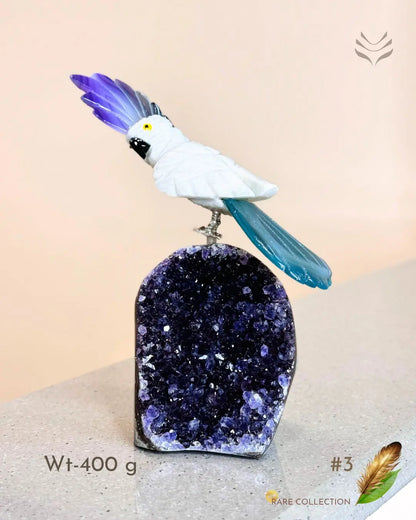 Light-Coded Financial Freedom-Birds Of Paradise 