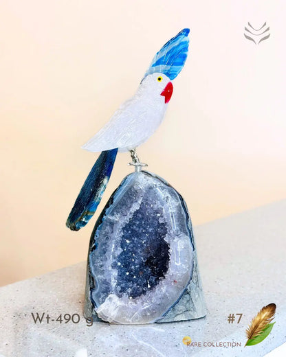 Light-Coded Financial Freedom-Birds Of Paradise 