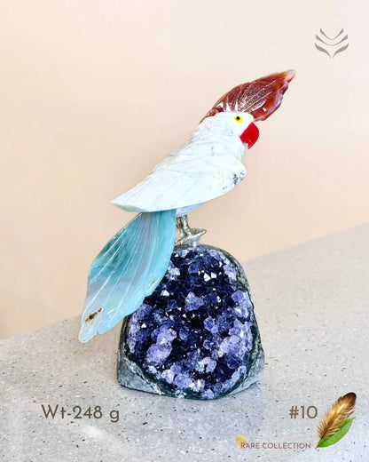 Light-Coded Financial Freedom-Birds Of Paradise 