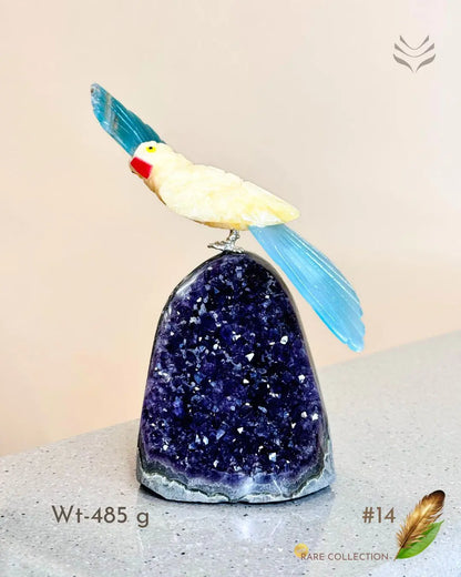 Light-Coded Financial Freedom-Birds Of Paradise 