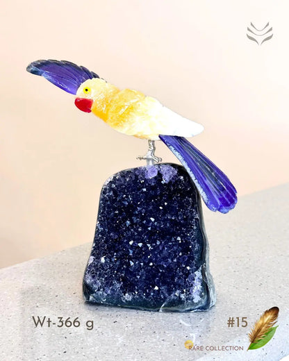 Light-Coded Financial Freedom-Birds Of Paradise 