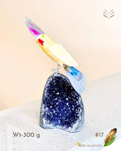 Light-Coded Financial Freedom-Birds Of Paradise 