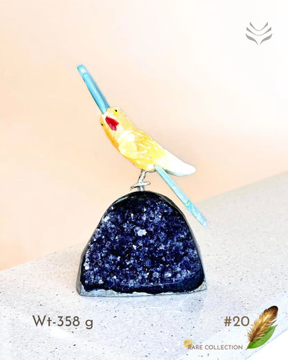 Light-Coded Financial Freedom-Birds Of Paradise 