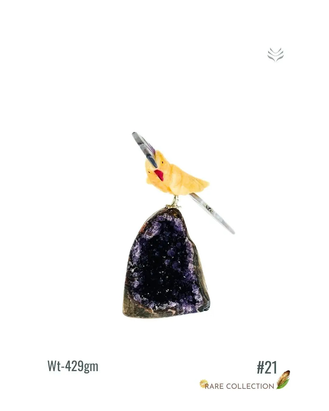 Light-Coded Financial Freedom-Birds Of Paradise 