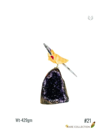 Light-Coded Financial Freedom-Birds Of Paradise 