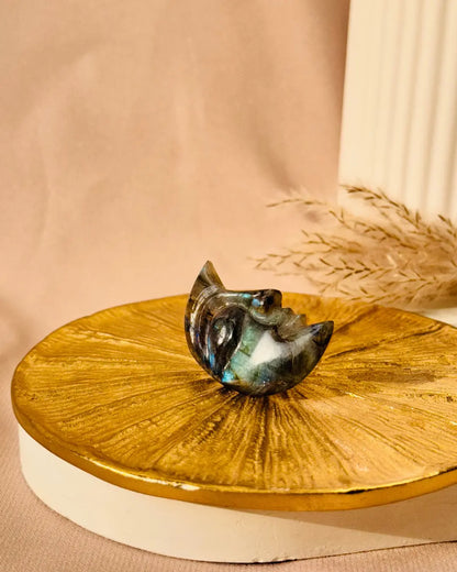 Light-Coded Half Moon For Moon Manifestations 