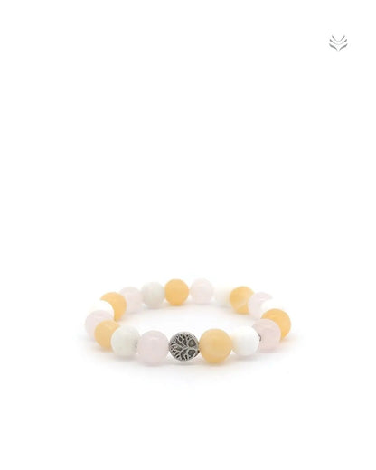 Light-Coded Hormonal Harmony Mixel 