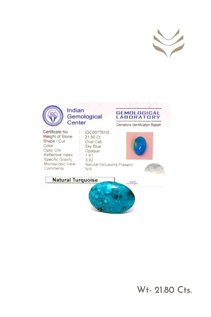 Light-Coded Premium Turquoise - 21.8 Ct 