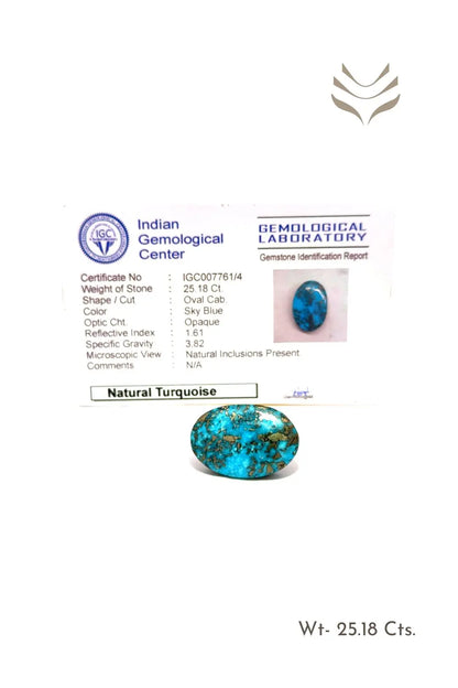 Light-Coded Premium Turquoise - 25.18 Ct 
