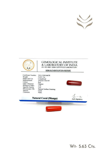 Light-Coded Red Coral - 5.63 