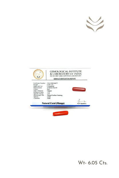 Light-Coded Red Coral - 6.05 