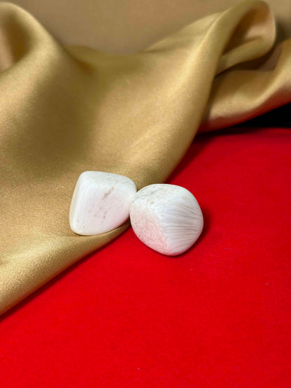 Light-Coded Scolo Tumbles 