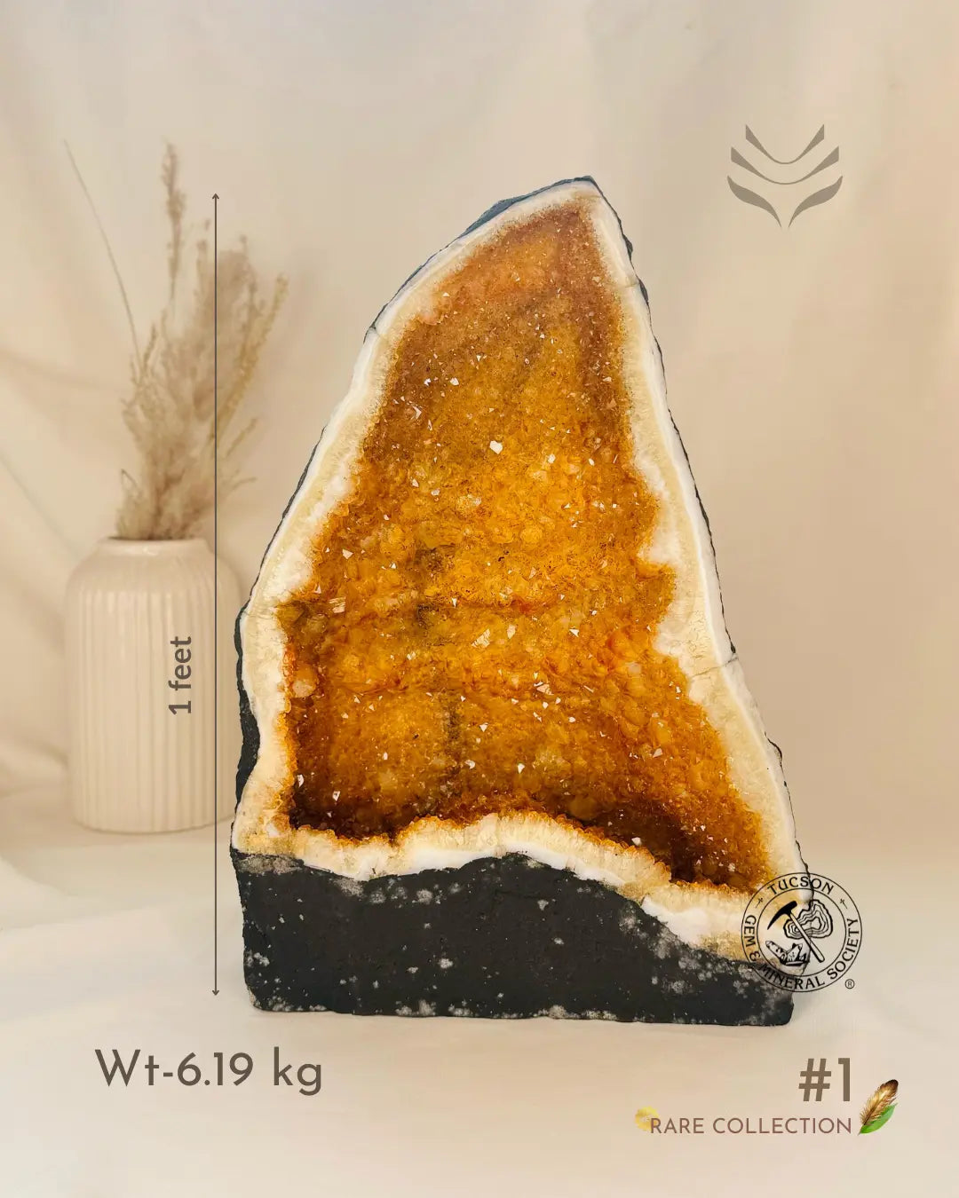 Light-Coded Wealth Magnet Citrine Geode 
