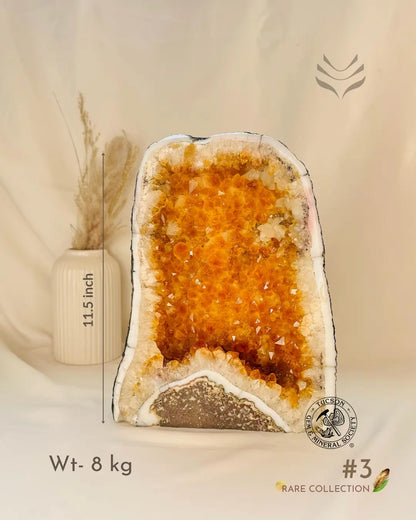 Light-Coded Wealth Magnet Citrine Geode 