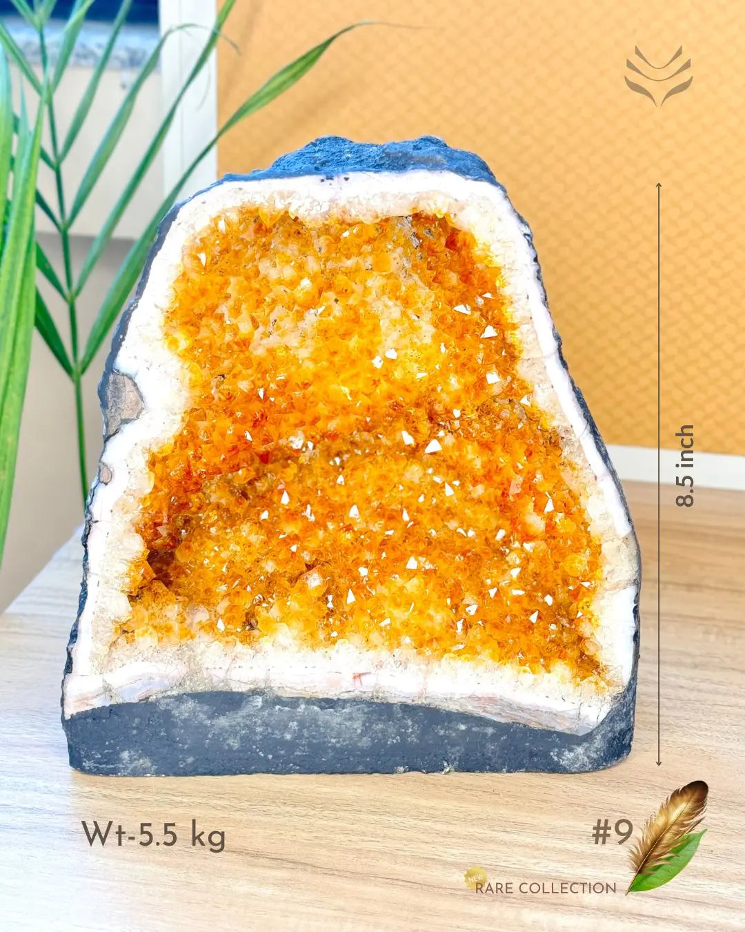 Light-Coded Wealth Magnet Citrine Geode (Part-1) 