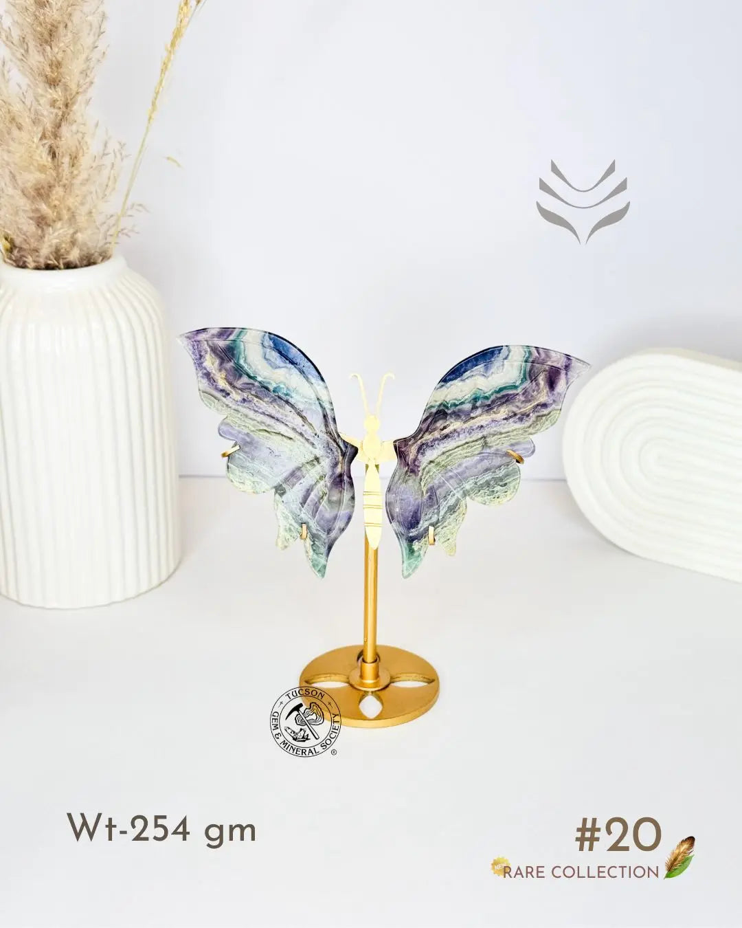 Light-Coded Wings Of Growth - Multi Fluorite #20 