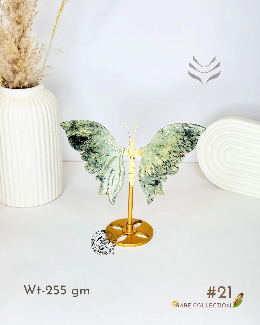 Light-Coded Wings Of Growth - Prehnite #21 