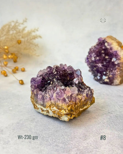 LightCoded Amethyst Cluster 